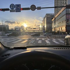 고양시 운전연수 후기입니다