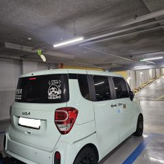 야간 운전에 빛 사용 안했어요