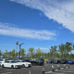 야간 고속도로 도전