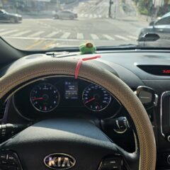 8시간 완주 성공!