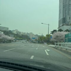 겁쟁이도 할 수 있어요!