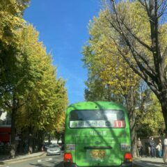 파주 운전연수 후기 (강추!)