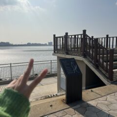 차량운전연수 3일 코스 가격 솔직 후기 후기 이미지