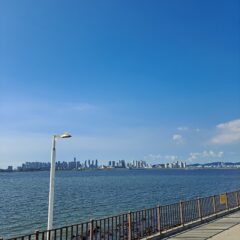 정발산에서 가장 친절한 운전연수