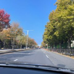 방문연수라 편했어요