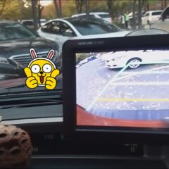 교하에서 연수받았어요