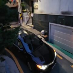 아침 7시 시장 방문에 긴장했어요 후기 이미지